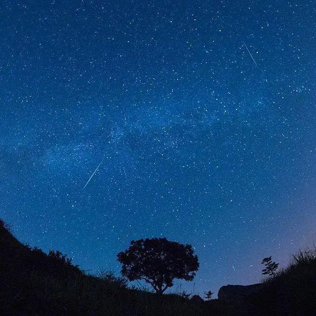 情绪低落时适合的句子