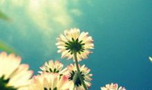 优美的句子摘抄励志