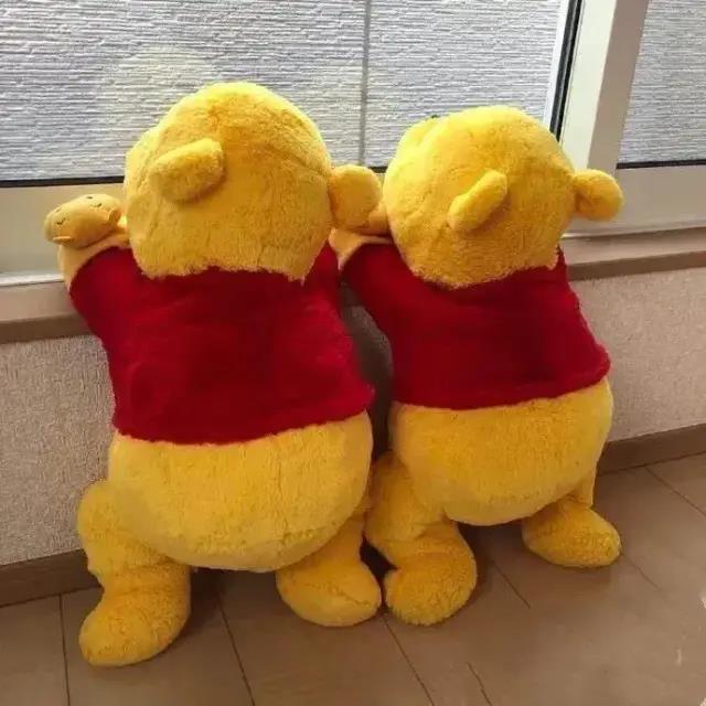 获得证书并将有趣的句子发送给朋友圈