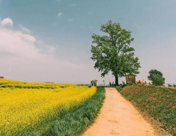 遗憾后悔爱上浮渣1的句子