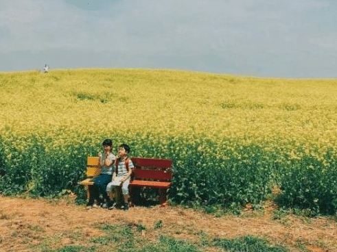 遗憾后悔爱上浮渣2的句子