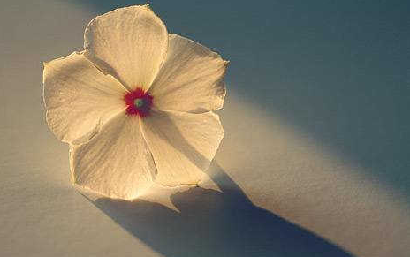 输掉2后要感到遗憾的句子