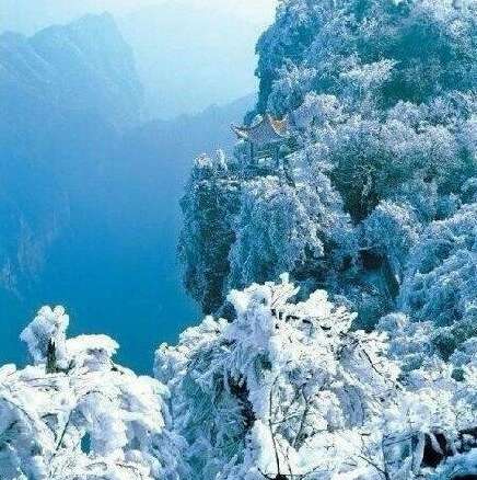 关于滑雪的快乐句子