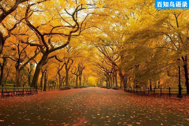 使前妻感到遗憾的句子