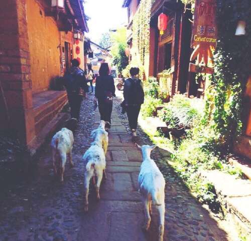 描述快乐动作的句子1