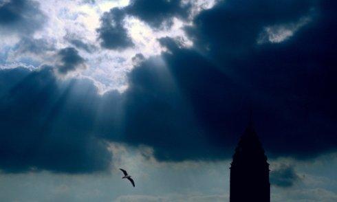 流产后悔罪恶感的句子2