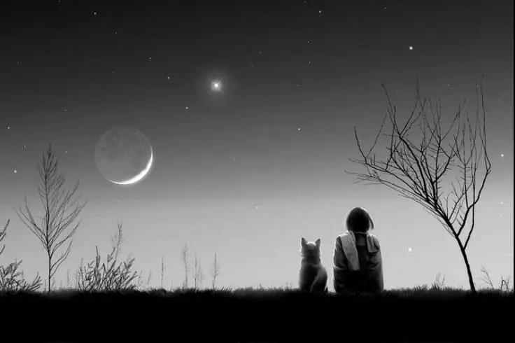 感性审美语录短句