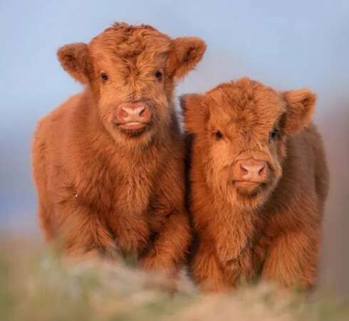 一路描述幸福的句子1