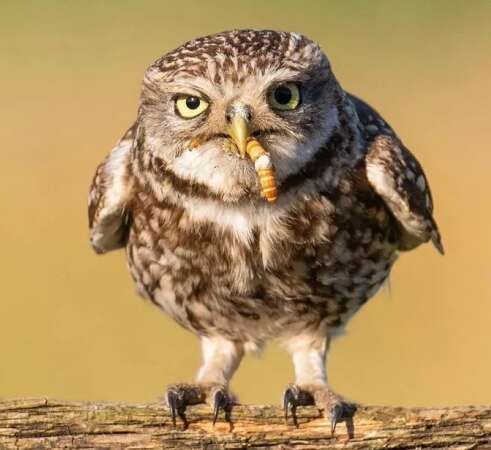 一路描述幸福的句子2