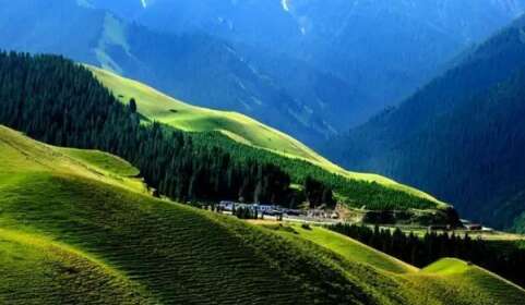 哄骗老兄敞开心heart的句子2