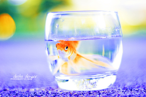 描述遗憾的句子