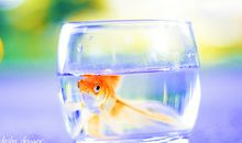 描写后悔神态的句子