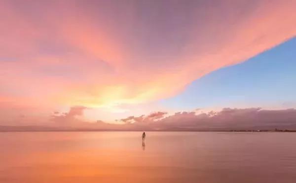 经典毒鸡汤语录2