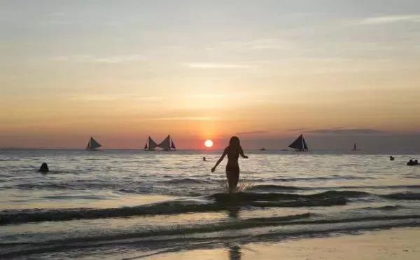 经典有毒鸡肉汤报价