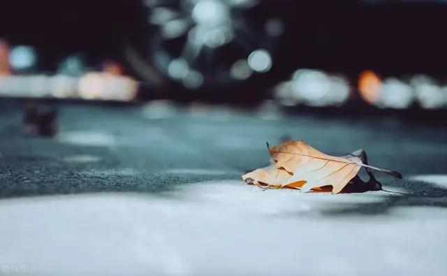 给Moments 2发送一个简单的句子