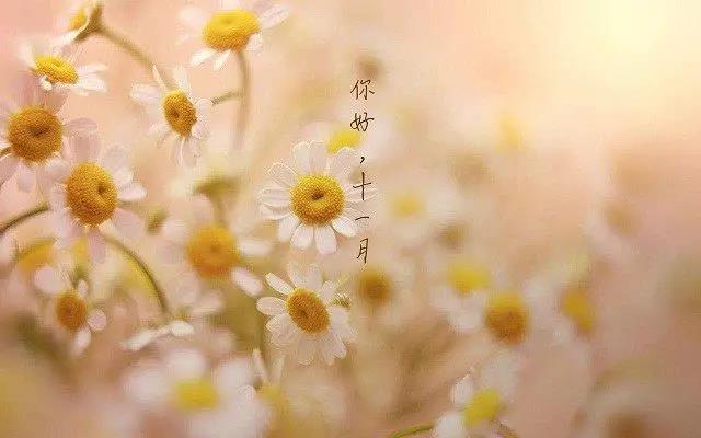 给Moments 1发送一个简单的句子