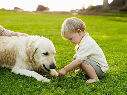 关于前妻的句子