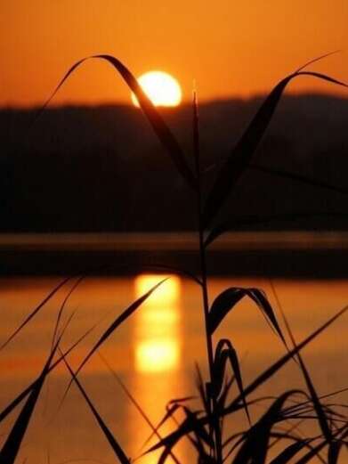 关于春茶成长快乐的句子2