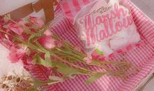 又可爱又沙雕的句子