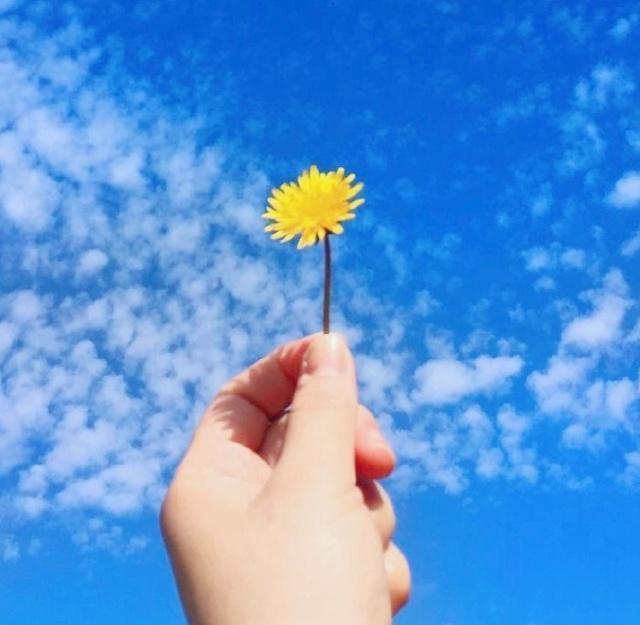 写下描述遗憾和同情的句子2