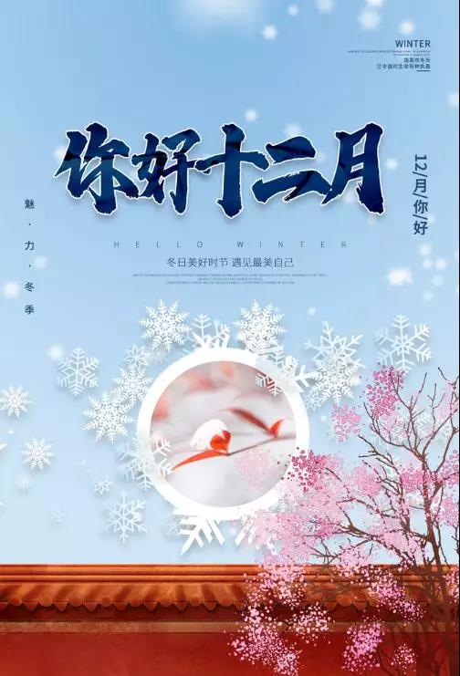 您好12月2日