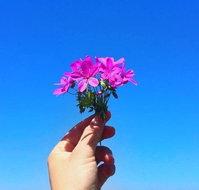 遗憾进入社会的句子1