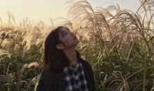 表示玩的开心的句子