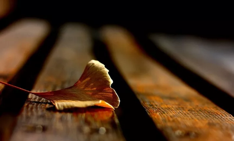 再见11月12月你好励志语录