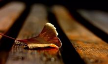 十一月再见十二月你好励志说说语录