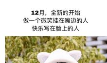 十二月简短走心的句子