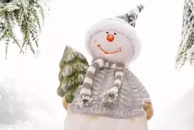 冬天下雪了,朋友圈有趣的话题1