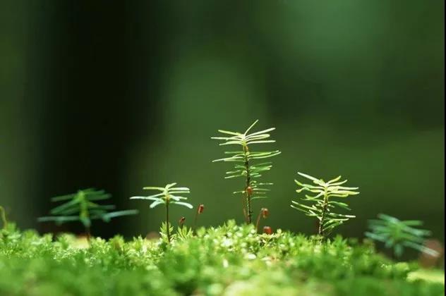 对朋友表示感谢的句子2