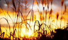 关于开心的英文句子