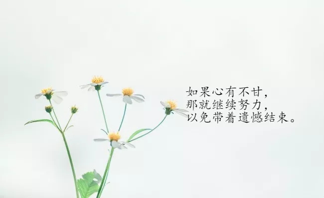 温柔和鼓舞人心的句子2