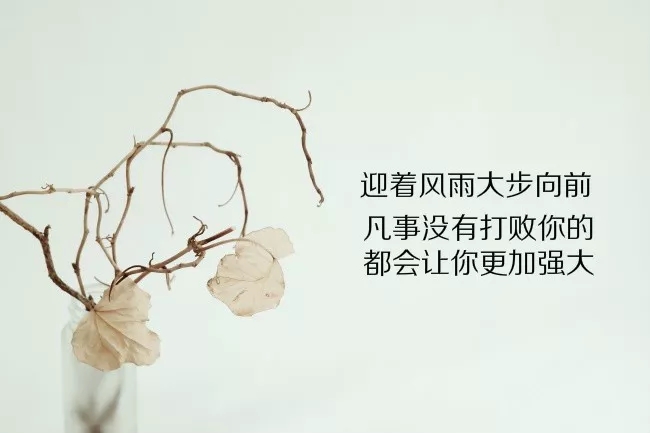 温柔和鼓舞人心的句子1