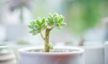 忧伤也是一种美丽