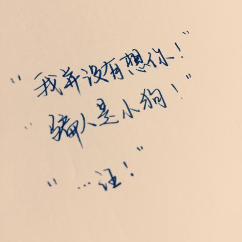 审美句抒情励志