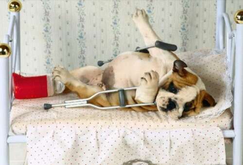 后悔说错话的句子2