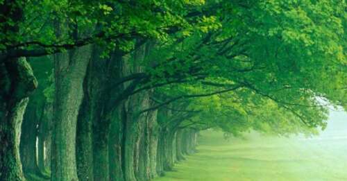 后悔说错话的句子1