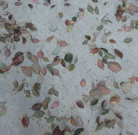 我想尝试，但我不想后悔这句话2