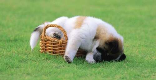 我想尝试，但我不想后悔这句话1