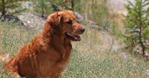 一句话描述遗憾