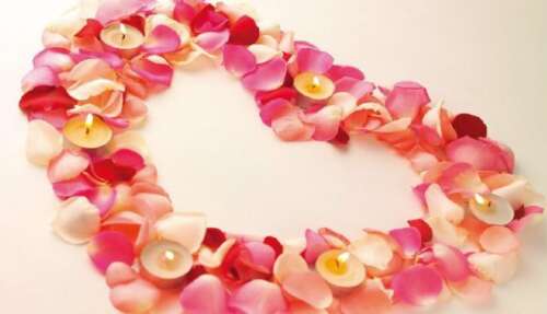 当你后悔的时候我会迟到