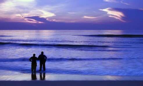 不要后悔这句话