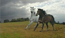 对自己感到后悔的句子