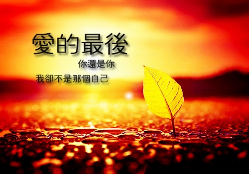 最后遗憾的句子谈感情