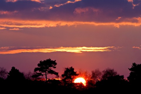 描述遗憾的句子