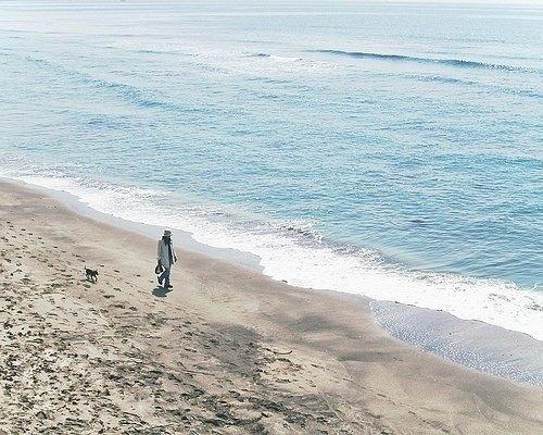 关于嫁给错误的人的可悲的句子1