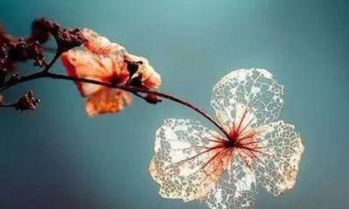 对亲戚生气的遗憾判刑1