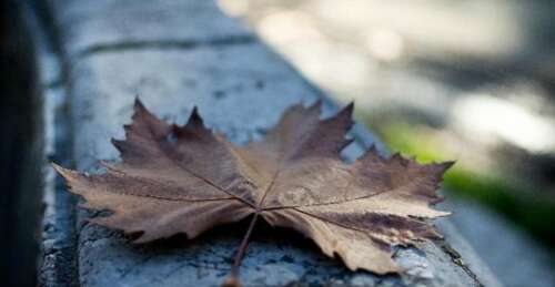 关于遗憾2的句子